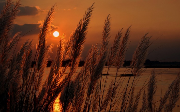 природа вечер солнце озеро