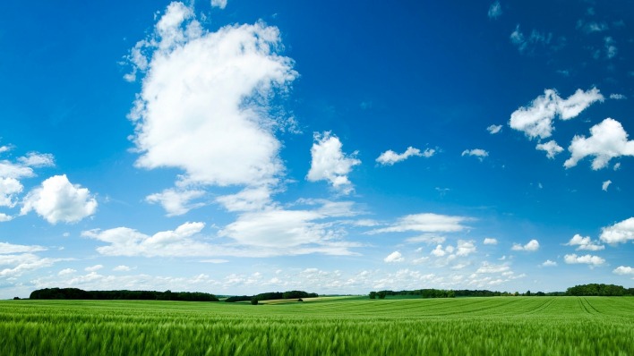 облака поле зеленое