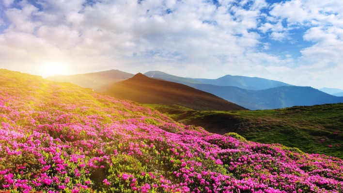 закат горы цветы холмы