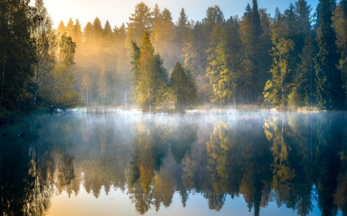 лес природа озеро