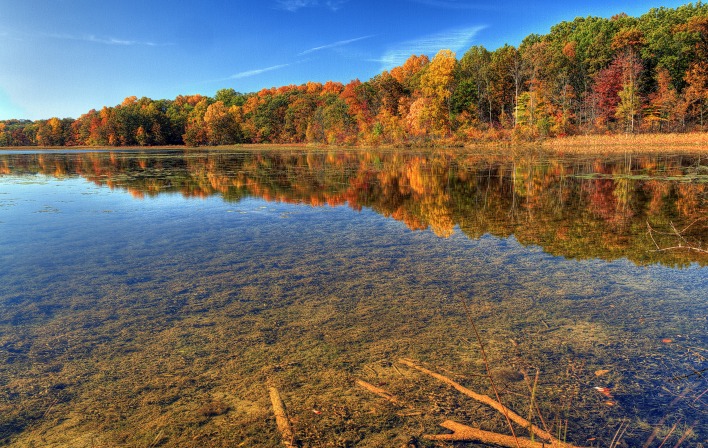 природа озеро деревья отражение