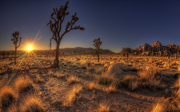 пустыня закат солнце трава