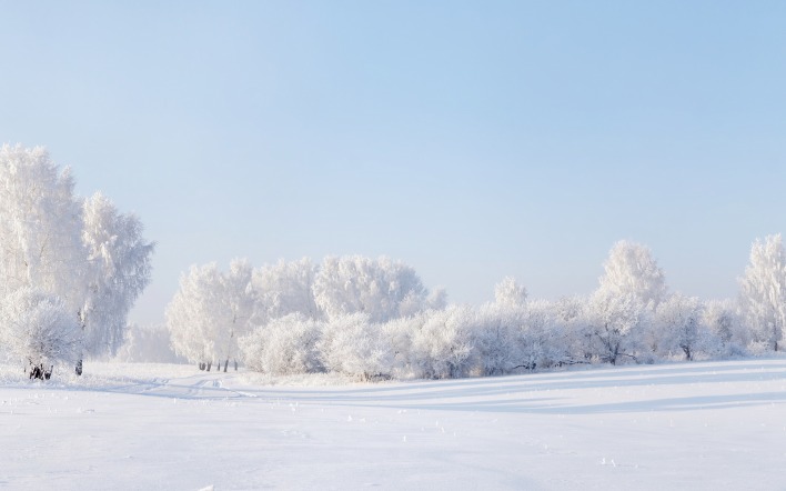 Снег деревья поле