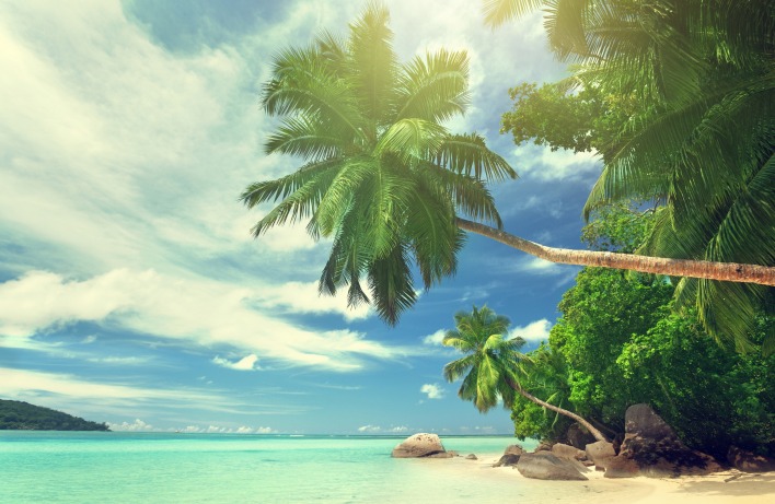 Фото лето море пальмы