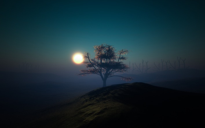 солнце дерево туман