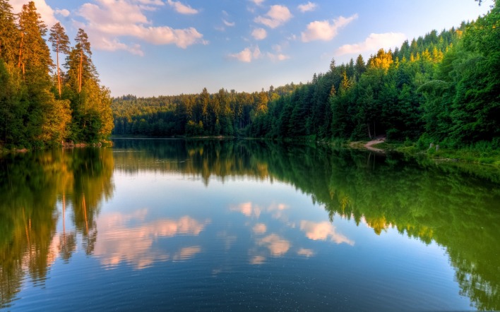 озеро лес отражение