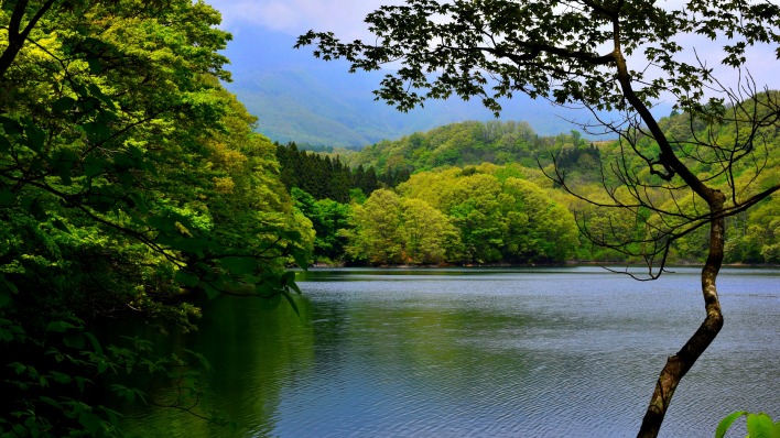 Озеро деревья горы
