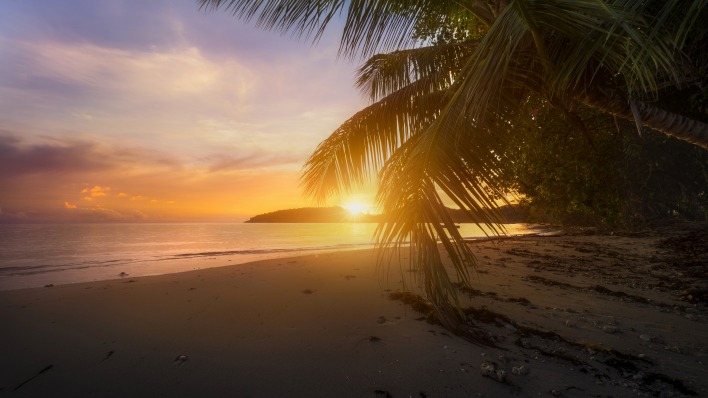 закат пальмы море песок пляж