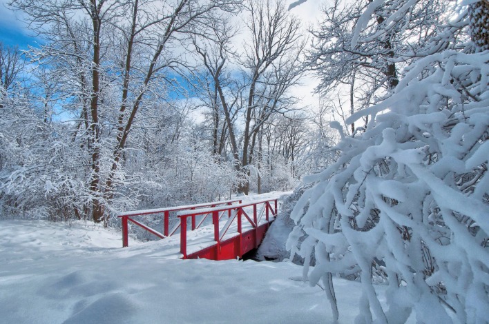 снег деревья мост