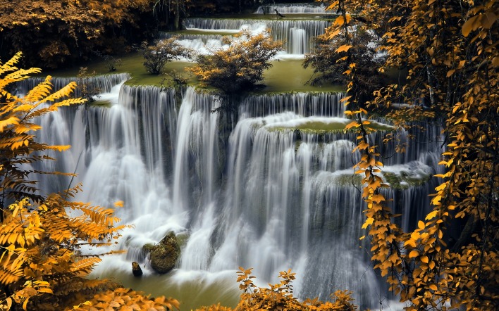 водопад лес деревья