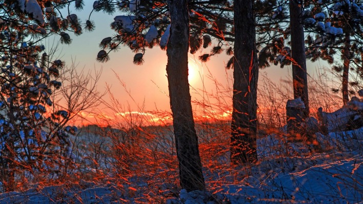 снег деревья солнце заход
