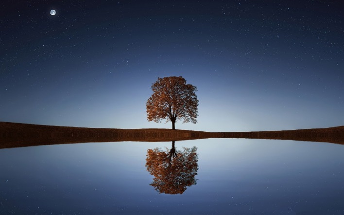 одинокое дерево отражение небо звезды