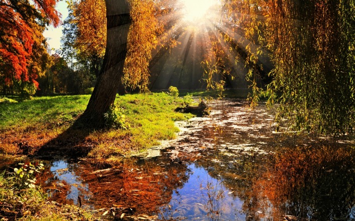 солнце,деревья,озеро,осень