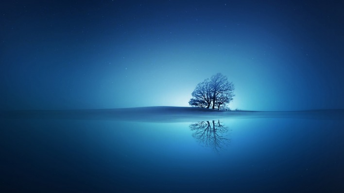 дерево озеро отражение