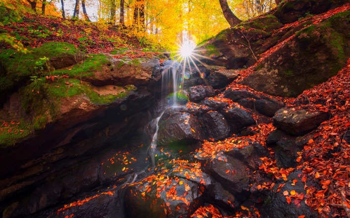 камни лес осень лучи водопад