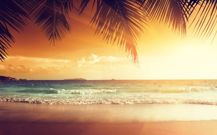 море песок берег пальмы пляж солнце