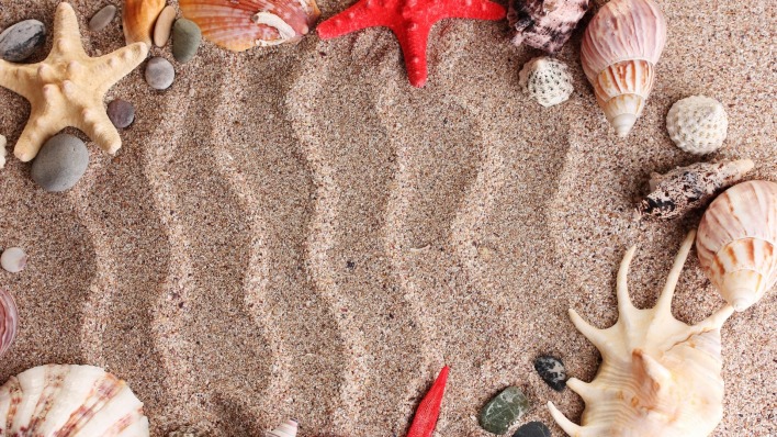 песок ракушки камни