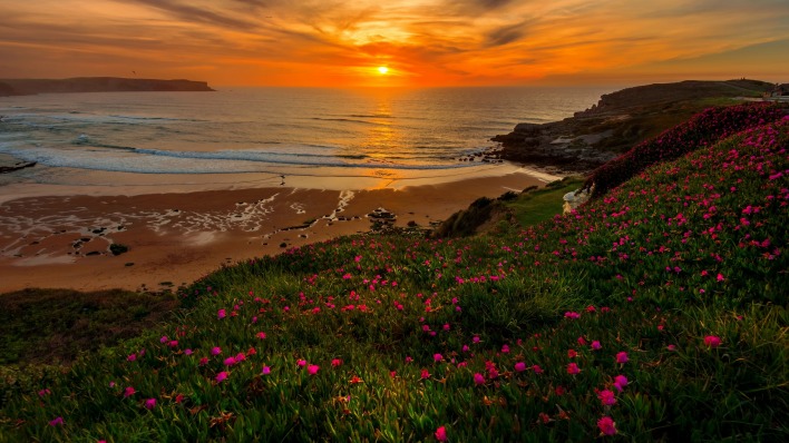 закат морской закат холмы берег цветы