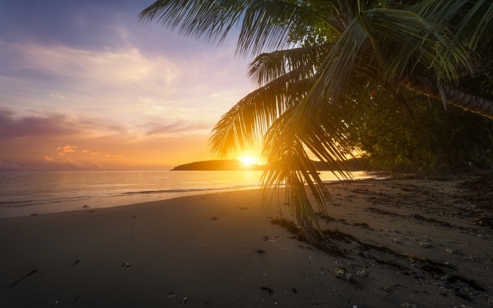 море песок закат пальмы