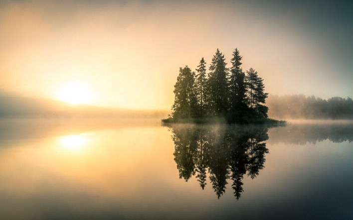 озеро деревья отражение солнце лес