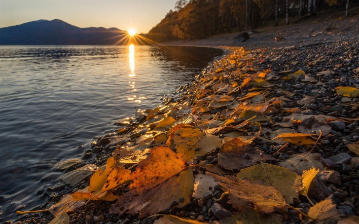 листья берег камни озеро закат осень