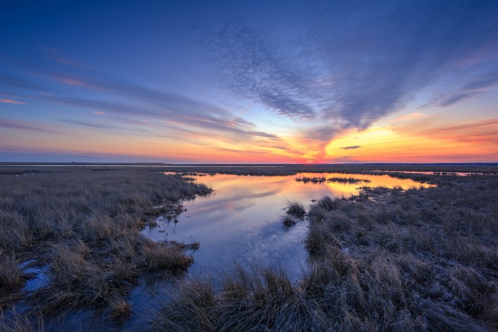 закат болото поле