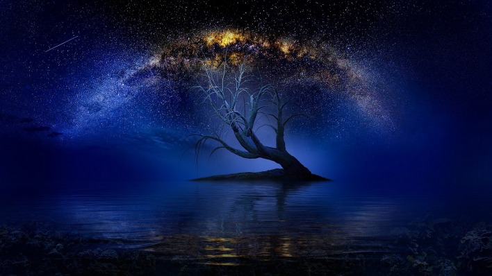 дерево галактика звезды водоем