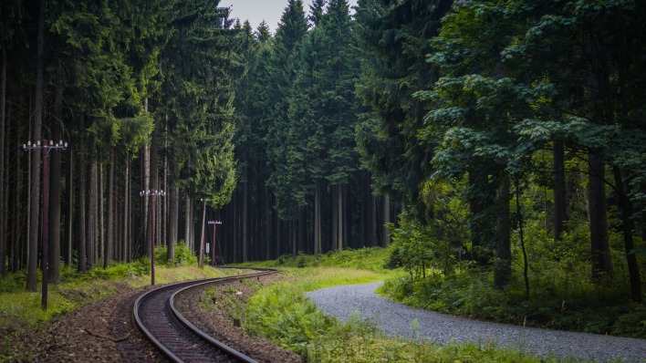 железная дорога тропинка лес