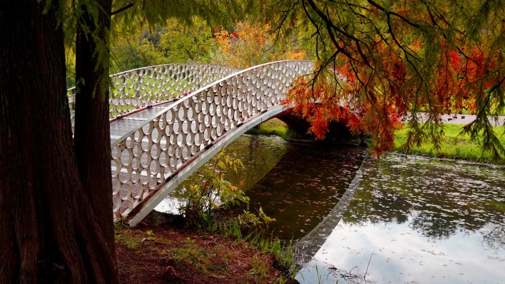 мост речка парк осень