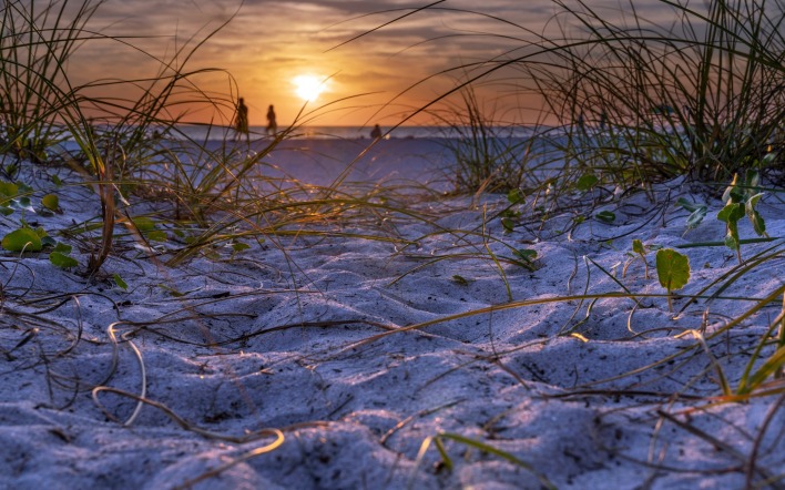песок закат трава