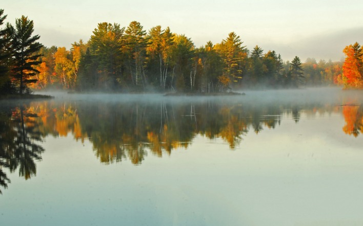 озеро утро испарение туман деревья лес