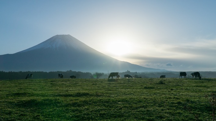 вулкан гора пастбище поле