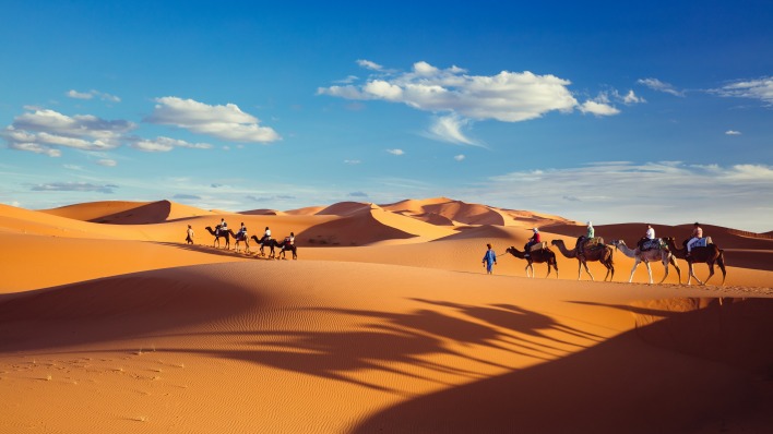 дюны барханы пустыня верблюды караван