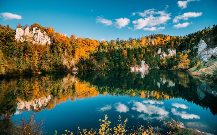 озеро водоем лес отражение штиль осень
