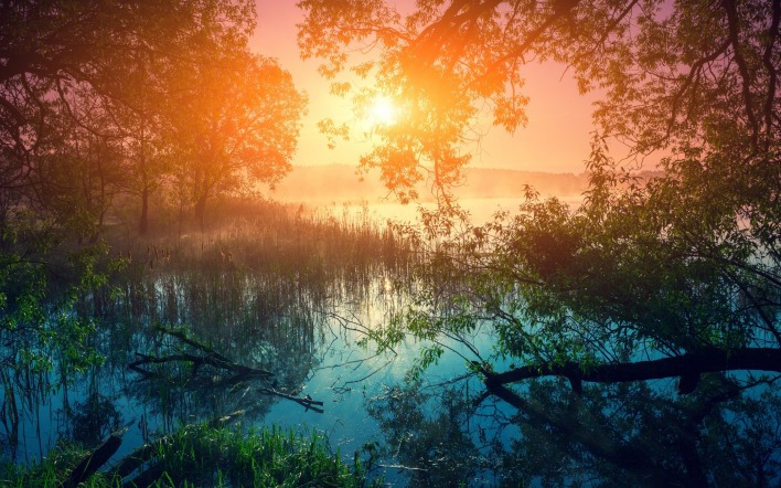 озеро болото закат деревья лучи