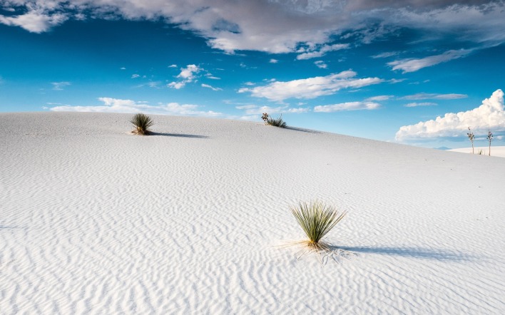 пустыня песок ясный день