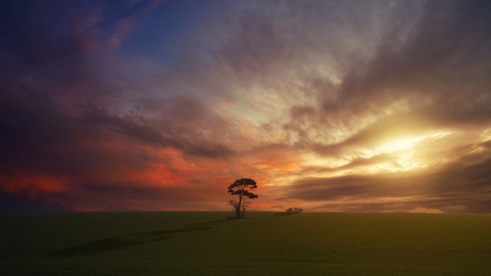 дерево поле холм облака закат одинокое дерево