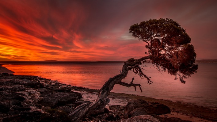 закат озеро камни дерево красный закат