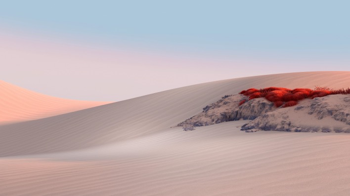 пустыня дюна песок