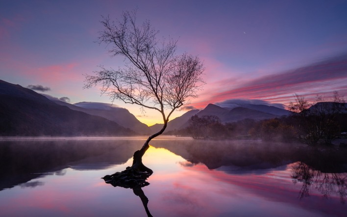 дерево горы отражение сумерки на закате озеро