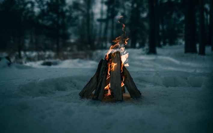 костер на снегу в лесу зима