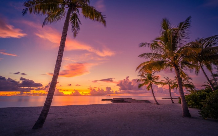 горизонт пальмы берег песок пляж закат