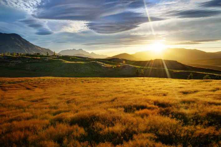 новая зеландия пейзаж закат трава