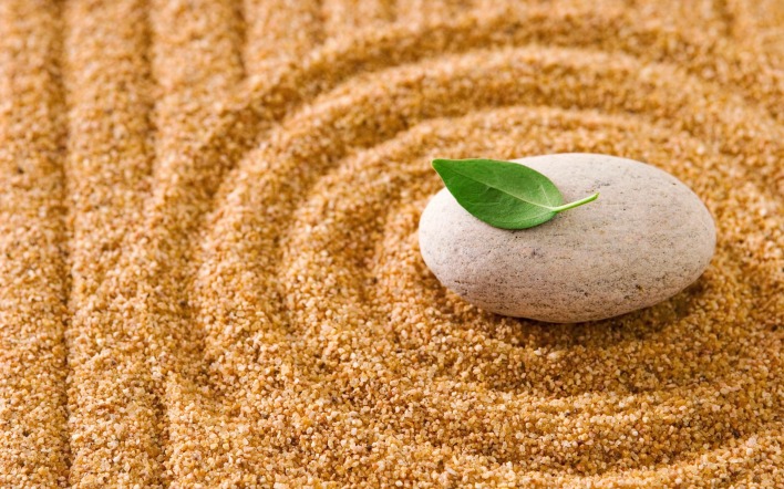песок пляж камень листик