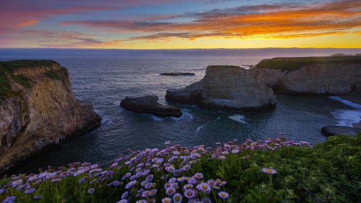 море камни берег цветы закат