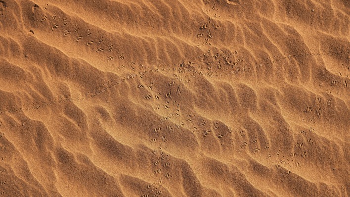 песок пустыня следы