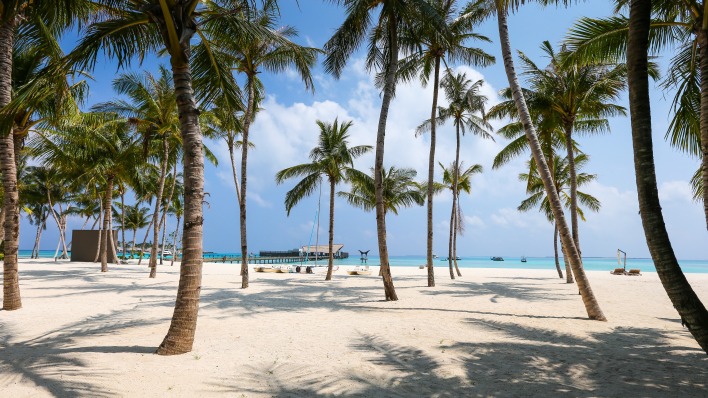 пляж пальмы песок океан
