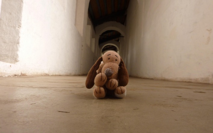 Плюшевый собачка в коридоре