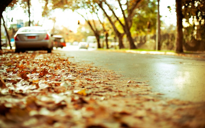 Листья на городских улицах