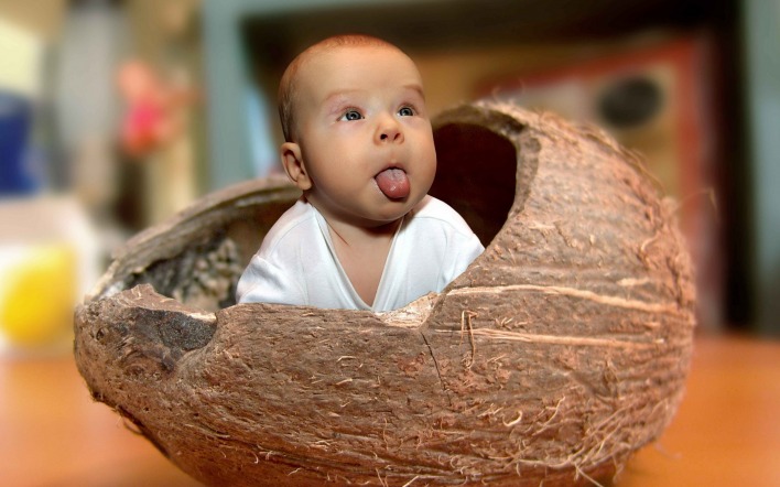 Малыш в кокосе